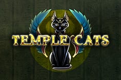 Temple Cats